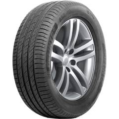 DELINTE DS2 SUV 225/55R18 102W XL летняя