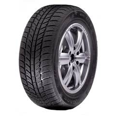 ROADX RXFROST WH01 205/60R15 91H зимняя