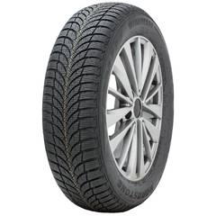 ROADSTONE WINGUARD SNOWG WH2 195/55R15 89H зимняя